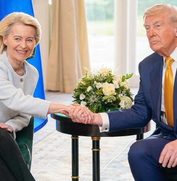 Publico Hulandes kier posicion mas fuerte tocante Trump y miho defensa Europeo