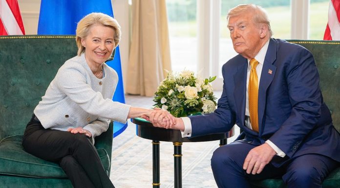 Publico Hulandes kier posicion mas fuerte tocante Trump y miho defensa Europeo