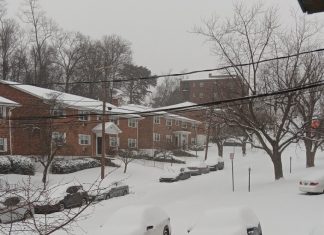 Tormenta di sneeuw na Merca ta causa interupcionnan di vuelo afectando biaheronan di Aruba