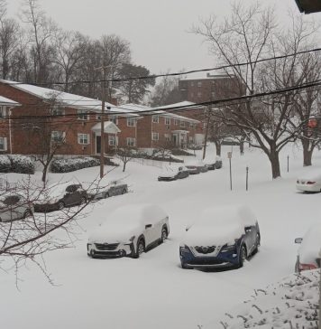 Tormenta di sneeuw na Merca ta causa interupcionnan di vuelo afectando biaheronan di Aruba