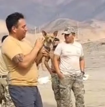 Peru: Cacho chikito ta bira e unico sobreviviente di crash di helicopter cu a mata 15 persona