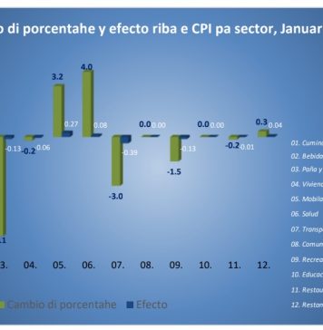 CBS: Cinco di 12 sector a registra caida di prijs na januari 2026