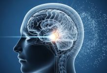 Meta a crea un modelo di AI cu ta pronostica bo cerebro miho cu bo mes por