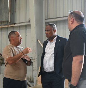 Minister Dowers a bay mira e situacion na Parkietenbos: solucion duradero ta bin