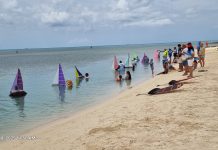 Stichting Rancho ta haci yamado pa proteha herencia cultural di boto miniatura