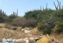 Tweede Kamer ta boga pa cooperacion regional riba maneho di desperdicio den Caribe; Mientras cu Aruba ta sigui lucha contra dumpnan ilegal