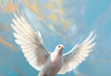 Sr. Jose A. I Cardozo Chaparro