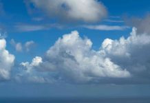 Aruba tin un di e economianan mas resiliente den Caribe