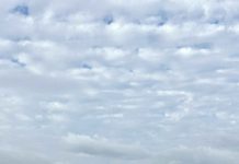 Ciudadano preocupa ta cuestiona practicanan di piscamento y aplicacion di ley na Aruba