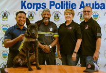 Cuerpo Policial Aruba ta yama bon bini na K9 Carla