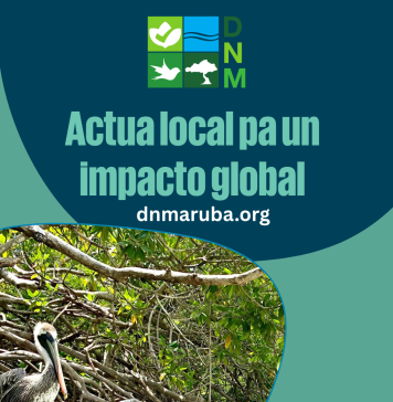 DNM ta lansa seccion flora y fauna database riba nan website di tur e especienan proteha na Aruba
