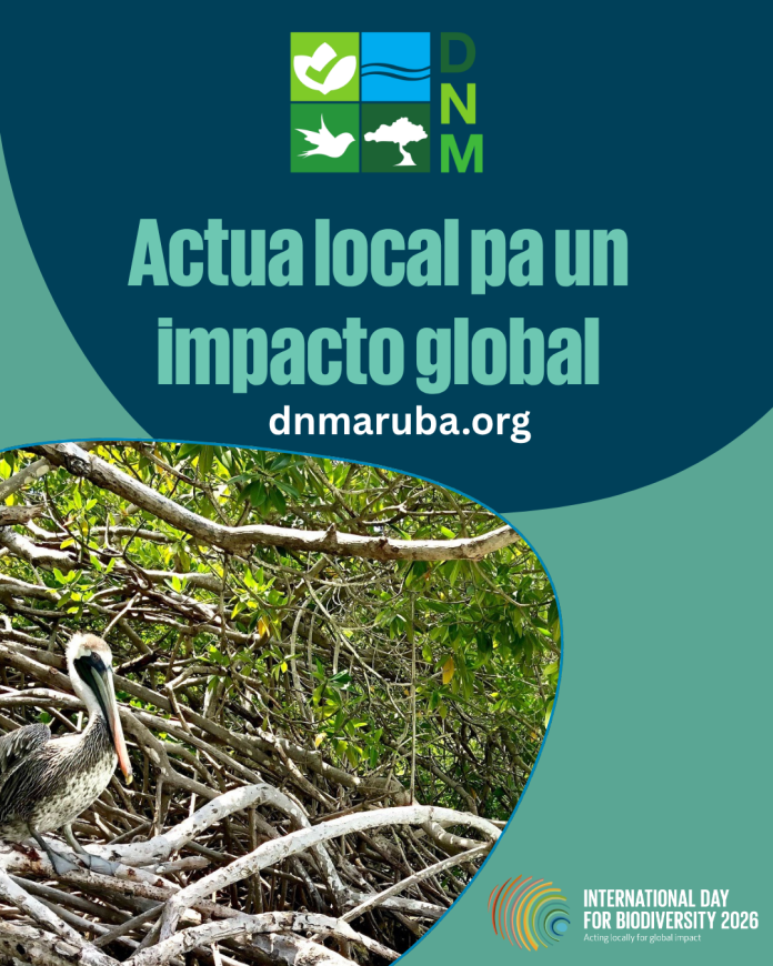 DNM ta lansa seccion flora y fauna database riba nan website di tur e especienan proteha na Aruba