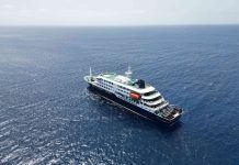 Kico ta hantavirus? E por plama entre ser humano?