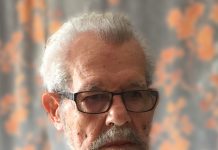 Skirbi pa Vivienno Frank Sr.: Toren Willem III