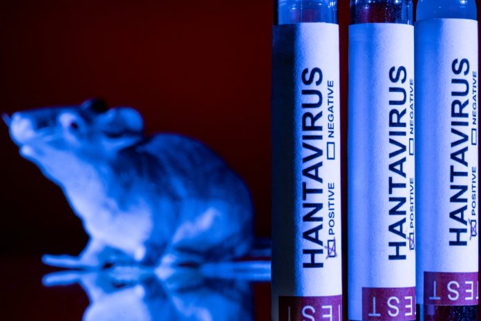FRANCE-HEALTH-HANTAVIRUS-ILLNESS
