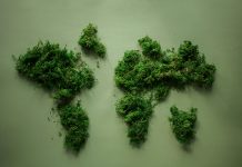 Dia Mundial di Medio Ambiente ta enfatisa importancia di proteha recurso natural