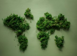 Dia Mundial di Medio Ambiente ta enfatisa importancia di proteha recurso natural