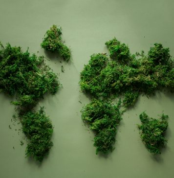 Dia Mundial di Medio Ambiente ta enfatisa importancia di proteha recurso natural