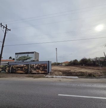 Woningdilemma op Aruba: Meer ontwikkeling, minder natuur en de vraag voor wie het eiland nog betaalbaar blijft