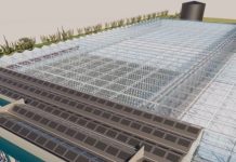 Minister Geoffrey Wever (Futuro): Expertonan internacional a presenta diseño tecnico y business case di Agri-Innovation Park na Parlamento