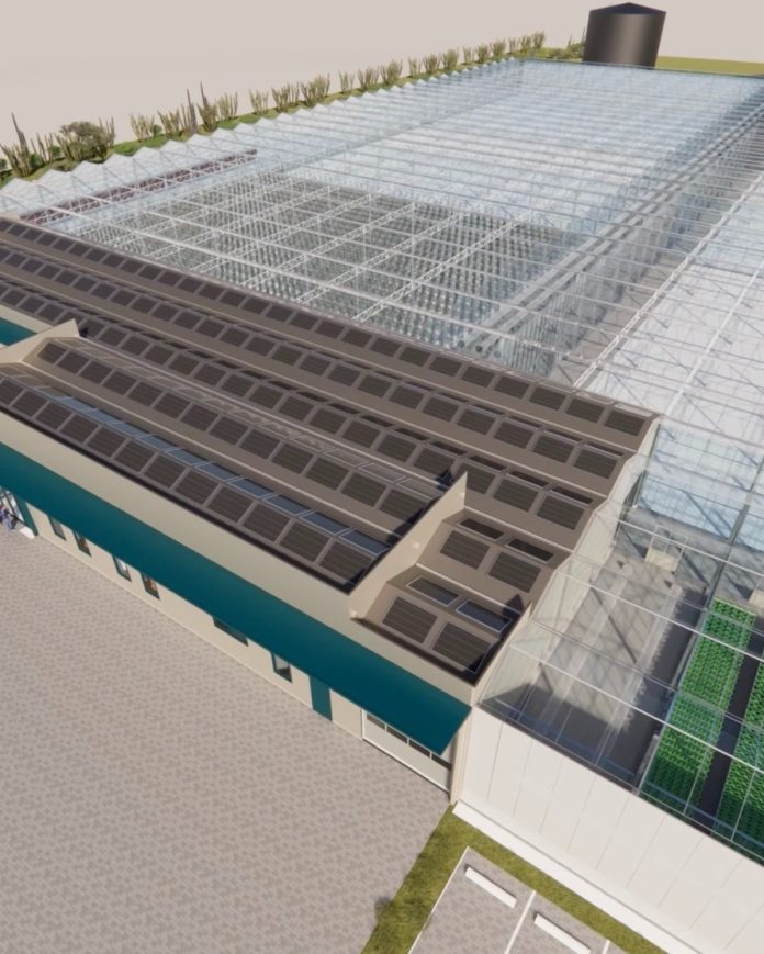 Expertonan internacional a presenta diseño tecnico y business case di Agri-Innovation Park na Parlamento (2)