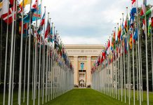 Ganashinan di AI mester beneficia trahadornan, Nacionnan Uni ta bisa