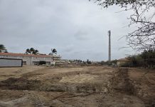 Regering veroordeelt illegale ontbossing in Rooi Santo en sluit bouwproject uit