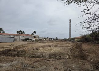 Regering veroordeelt illegale ontbossing in Rooi Santo en sluit bouwproject uit