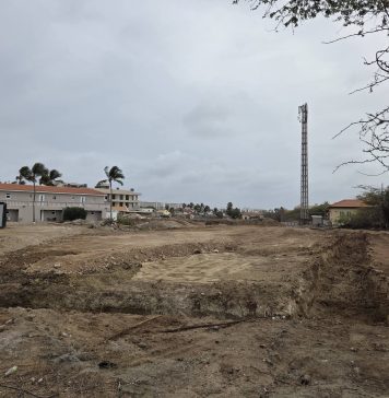 Regering veroordeelt illegale ontbossing in Rooi Santo en sluit bouwproject uit