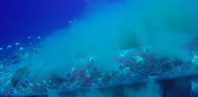 Rif di coral na Corsou na nivel alarmantemente abao