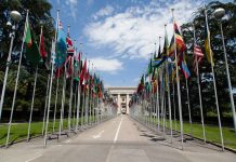 Gobierno Hulandes ta reacciona riba recomendacion di ONU tocante derecho di hende muher den Reino