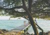 Aruba Tourism Authority ta expande riba comunicacion global lansa na 2025 “When you love Aruba, it loves you back”
