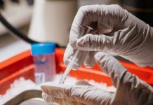 Hantavirus ta mata tres persona na Venezuela