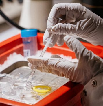 Hantavirus ta mata tres persona na Venezuela