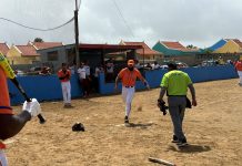 Kudawecha Redskins ta derota Royal Power Tat Fat pa titula campeon di Copa Noord 2026