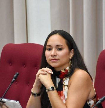 Comunicado di MEP: Si minister Gerlien Croes no tin nada di sconde, publica e conseho di LAR