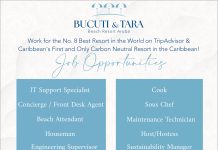 Bucuti & Tara Beach Resort – Various Job Opportunities