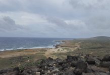 Segun estudio internacional, Organisacionnan ambiental na Aruba ta enfrenta presion den un economia cu ta depende di turismo