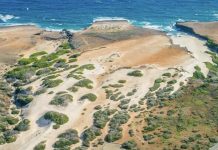 Rapport anual di ACF parti 1: Naturalesa di Aruba ta bao presion y e fundacion no por drecha e situacion su so