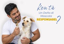 Comunicado di prensa: Pa un comunidad harmonioso, un doño di mascota responsabel alabes!