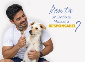 Comunicado di prensa: Pa un comunidad harmonioso, un doño di mascota responsabel alabes!