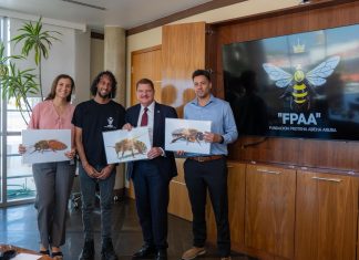 Segun comunicado di Prome Minister Mike Eman: Fundacion Proteha Abeha Aruba ta comparti informacion tocante trabao andando