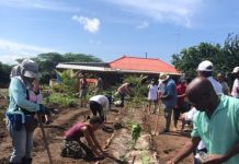 Corsou lo drecha 50 dam pa reduci inundacion y fortalece suministro di awa pa agricultura