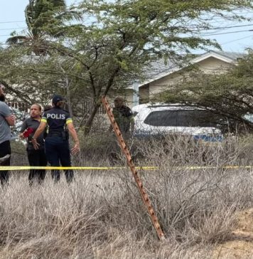 Dos curpa haya sin bida ayera na diferente parti di Aruba; dos historia diferente