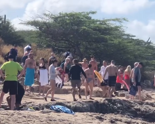 Ken ta controla turismo na Aruba.