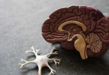 Siman Mundial di Conscientisacion di FTD: Mas cu djis Alzheimer: Descubri misterionan di FTD
