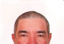Frank Hoek