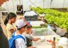 Innova Awe Alimenta Mañan; Dia di Alimentacion 2026