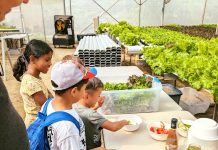 Innova Awe Alimenta Mañan; Dia di Alimentacion 2026