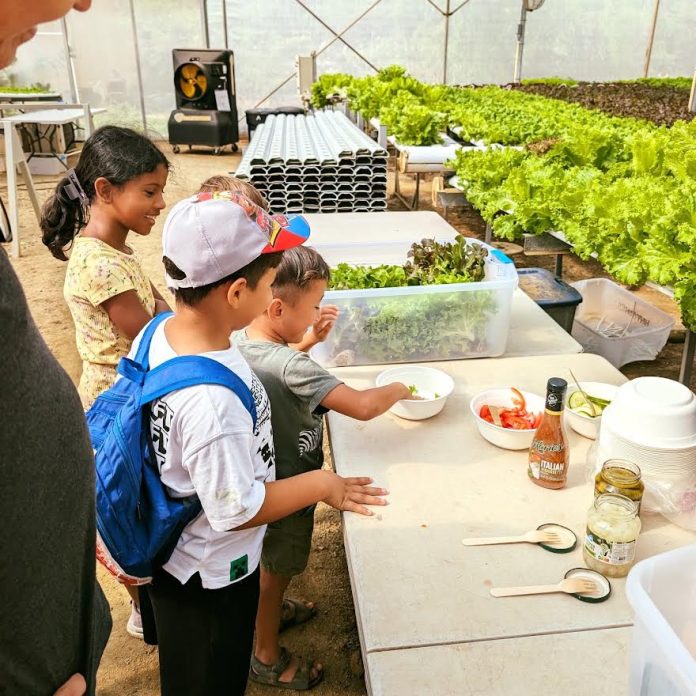 Innova Awe Alimenta Mañan3